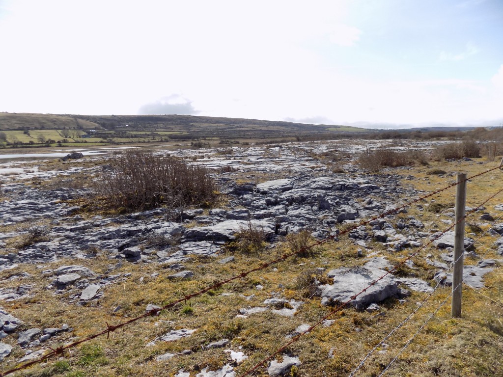 Just one shot of the wild desolation of the Burren.